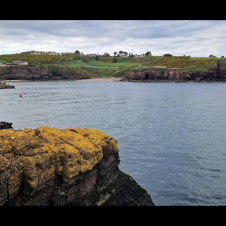 Sandy Cove Dunmore East Zewnętrze zdjęcie