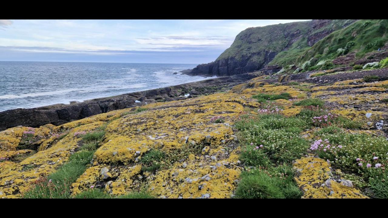 Sandy Cove Dunmore East Zewnętrze zdjęcie